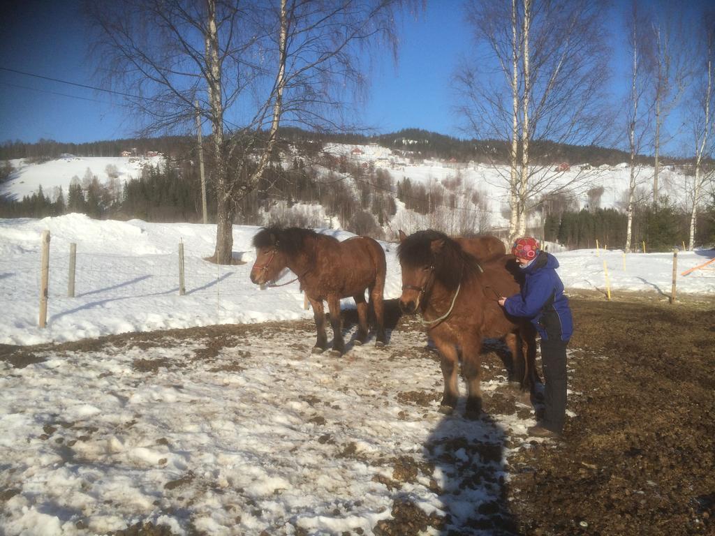Asgardane Gjestegard Gol Exterior foto