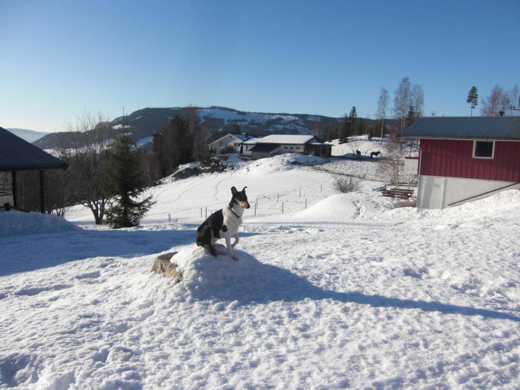 Asgardane Gjestegard Gol Exterior foto