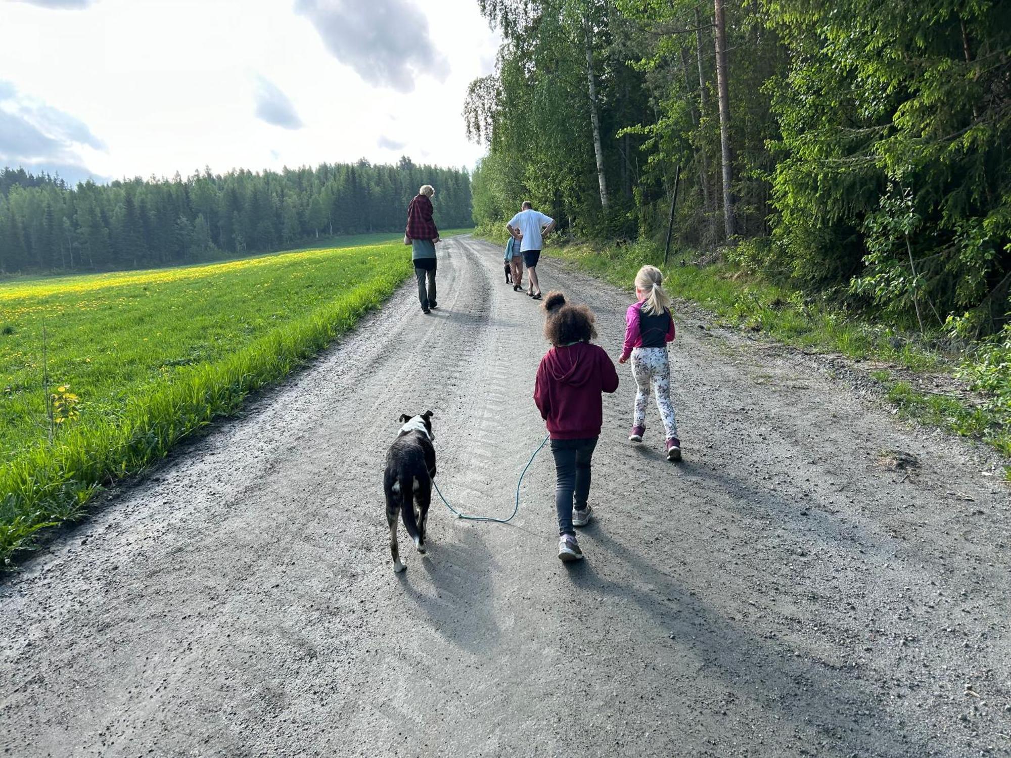 Asgardane Gjestegard Gol Exterior foto
